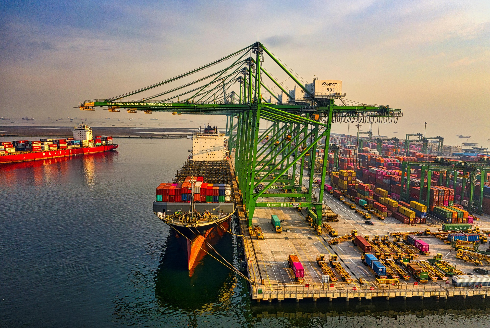 Yeti Logistics Ocean Freight